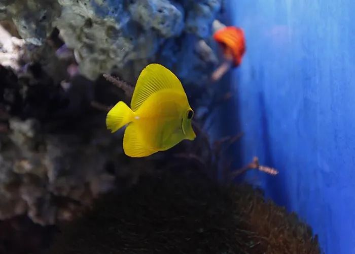 Otoliński Hotel Płock